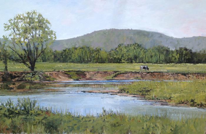 Cow along the Housatonic 20" x 30" Oil on Board
