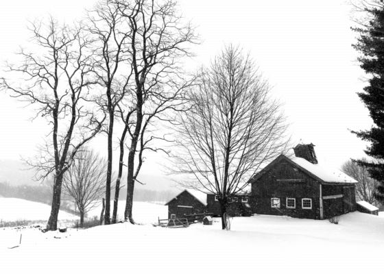 Barns in Snowstorm