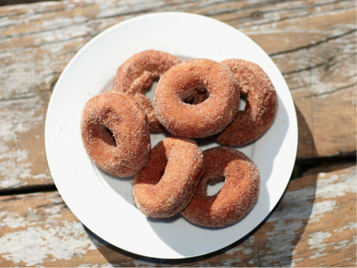 Falling for Cider Donuts