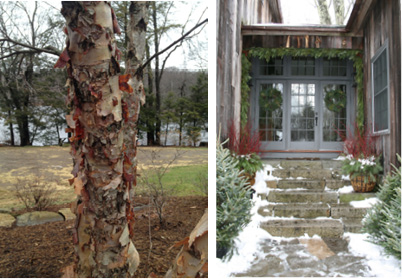 LEFT: CLOSE-UP OF A "HERITAGE" RIVER BIRCH ON NORTH SPECTACLE LAKE. RIGHT: ENTRANCE TO A HOME IN WASHINGTON, CT. DECORATED FOR THE HOLIDAYS BY DEBBIE MCGARRA.