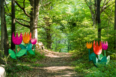 TULIPS - TRAIL LOVE - SKY LOVE IS IN THE AIR; PHOTO BY JOHN GRUEN