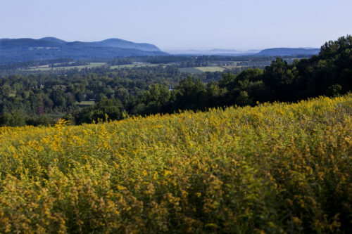 Take a Hike! A Guide to the Preserves and Trails of the Sharon Land Trust