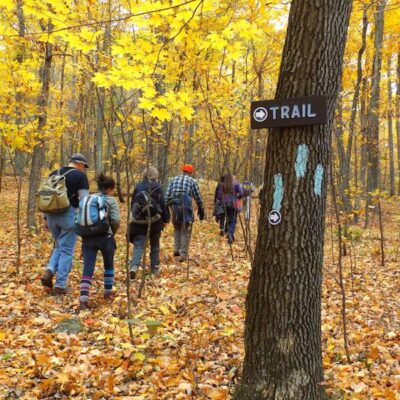 Spot the Signs! Wildlife Tracking Hike for Beginners