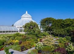 New York Botanical Garden Orchid Show daytrip