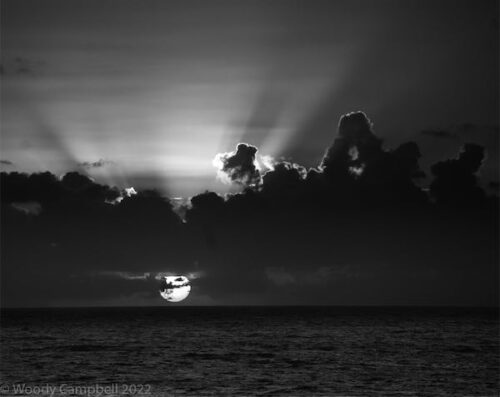 The Constant Eye: Woody Campbell photography
