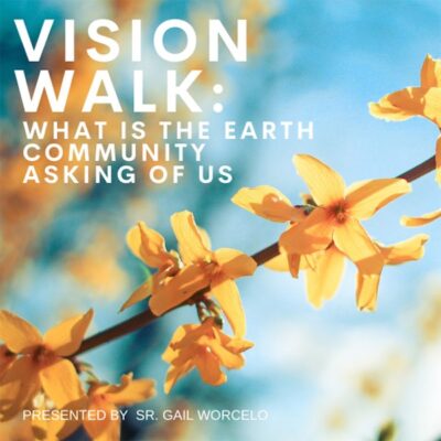 Vision Walk: What is the Earth Community Asking of Us