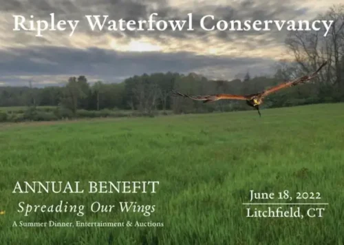 Ripley Waterfowl Conservancy Annual Benefit