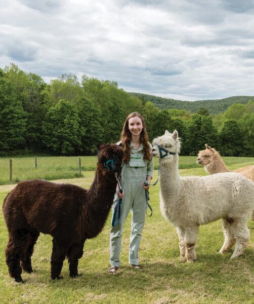 Into Alpacas