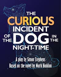 The Curious Incident of the Dog in the Night-Time