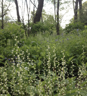 For the Birds with Paige Dickey and Deb Munson