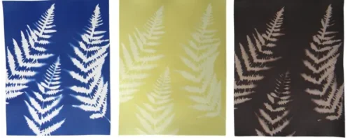 Cyanotype Print Making