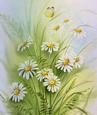 Daisy Watercolor Art