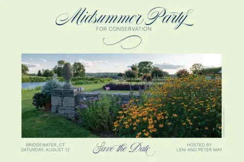 Midsummer Party for Conservation