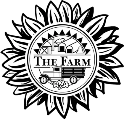 The Farm’s Sunflower Festival