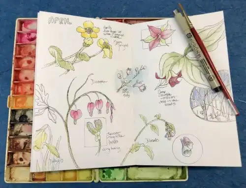 Autumn Garden Journaling