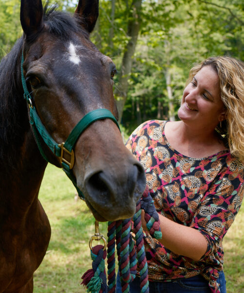 The Healing Power of Horses