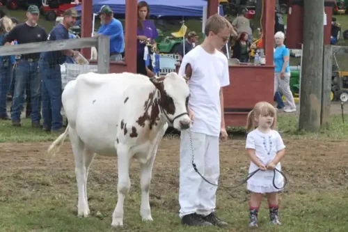 70th Annual Bridgewater Country Fair