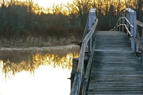 Exploring the Lake and Butternut Brook Trails