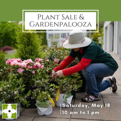 Plant Sale