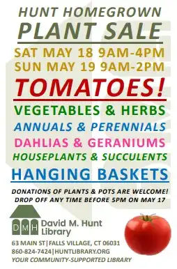 Homegrown Plant Sale