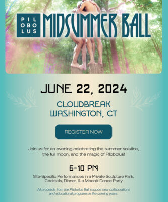 Midsummer Ball