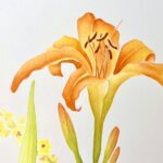 Watercolor Workshop: Daylily Blossoms at Hollister House