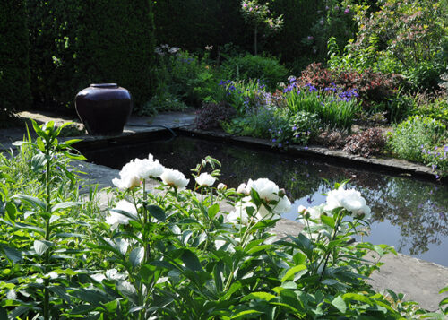 Evening in the Garden at Hollister House