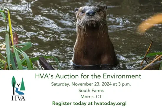 HVA Annual Auction