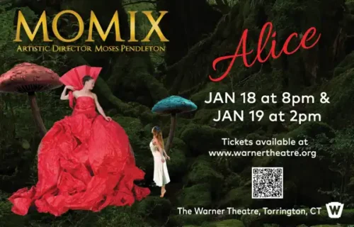 MOMIX to perform ALICE