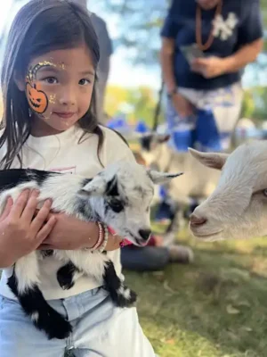 Meet the Baby Goats