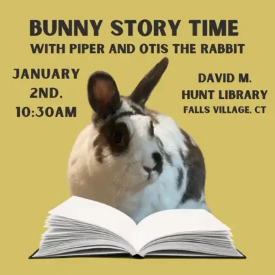 Bunny Story Time