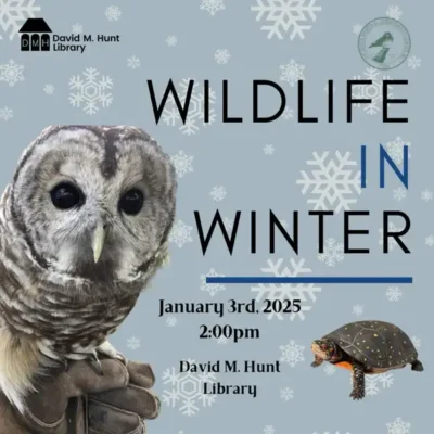 Wildlife in Winter: WMCC