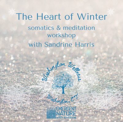 The Heart of Winter