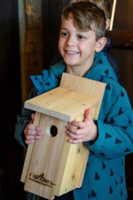 Bluebird Box Building