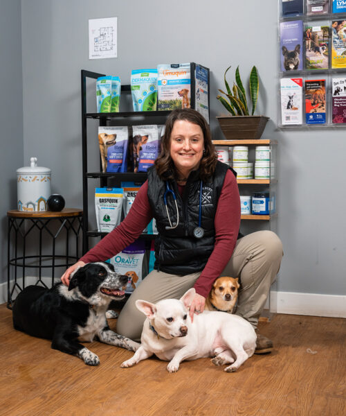 Roxbury Animal Clinic: Caring for All Creatures