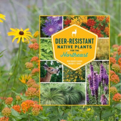 Deer Resistant Plants