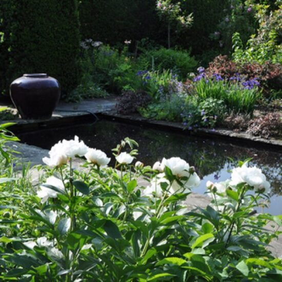 Evening in the Garden