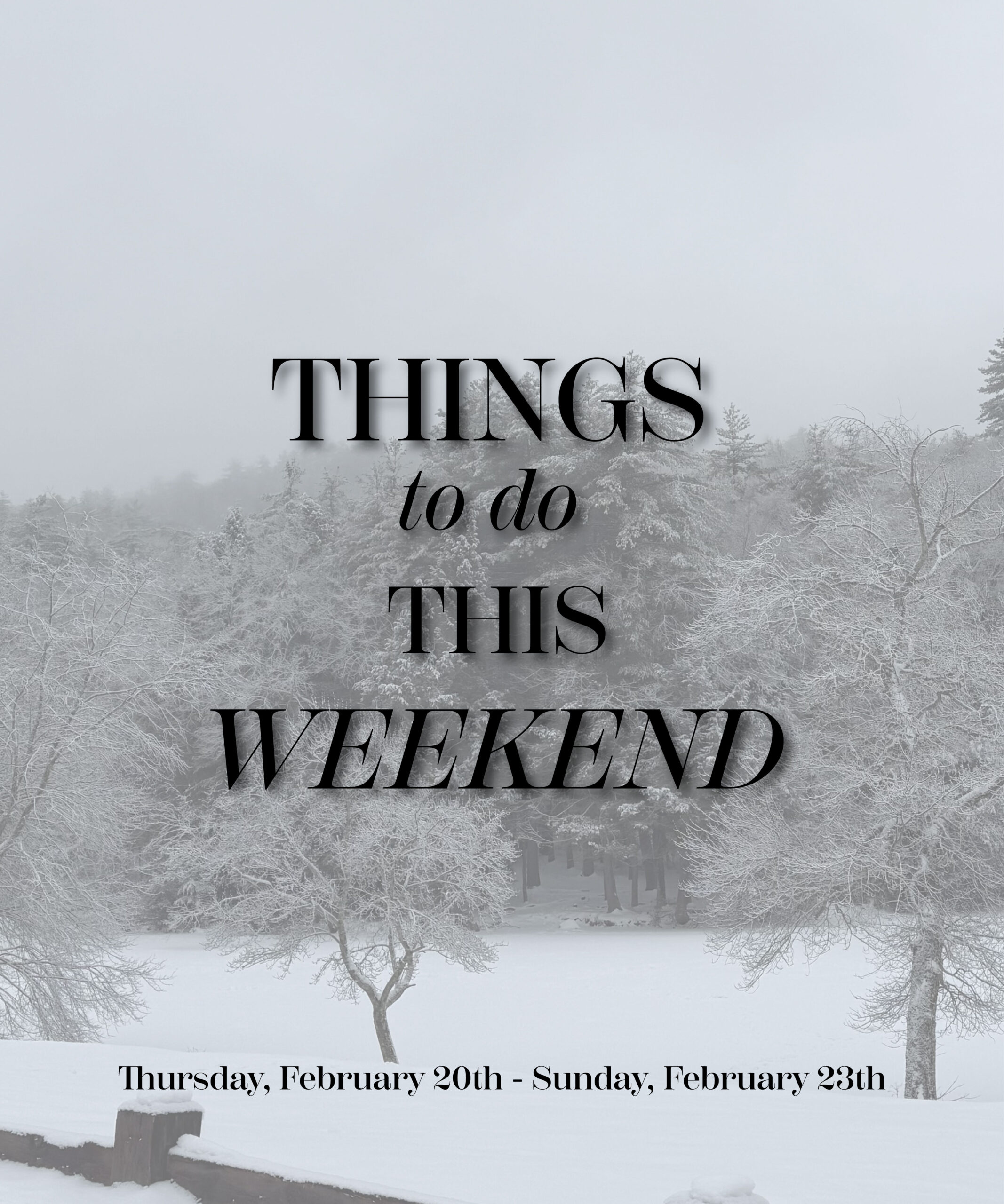 Things to Do This Weekend in Litchfield County: Events and More!