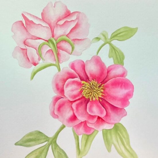 Watercolor: Peonies