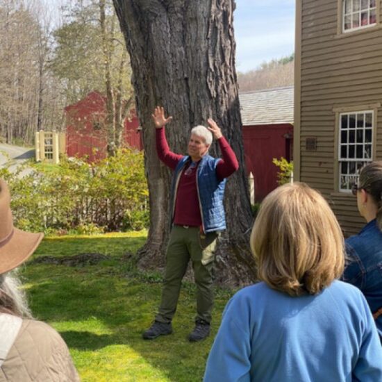 Tree Walk