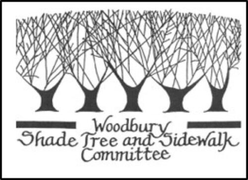 Tree Maintenance Workshop