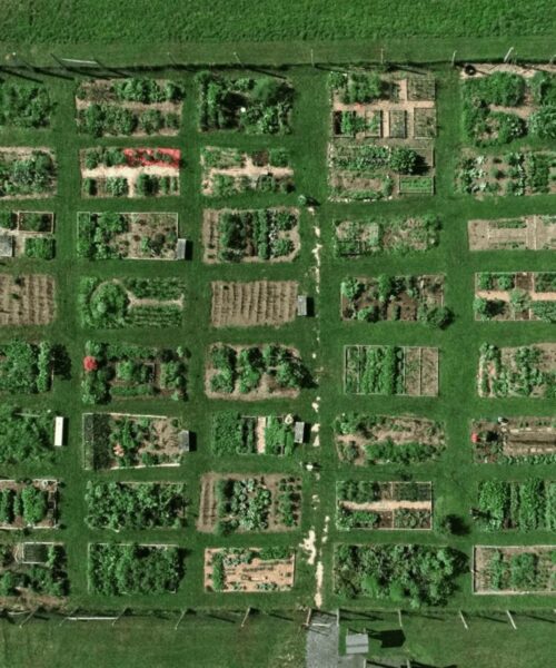 Litchfield County Community Gardens