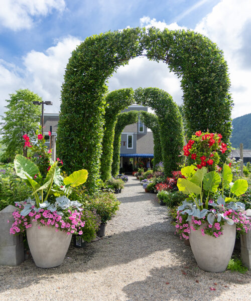 Expert Landscape Design with Kent Greenhouse & Gardens