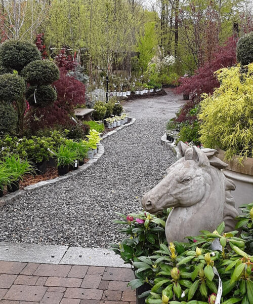 Scott’s Nursery: Creative Garden Design & Native Plants in CT