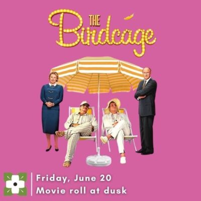 Outdoor Movie Night