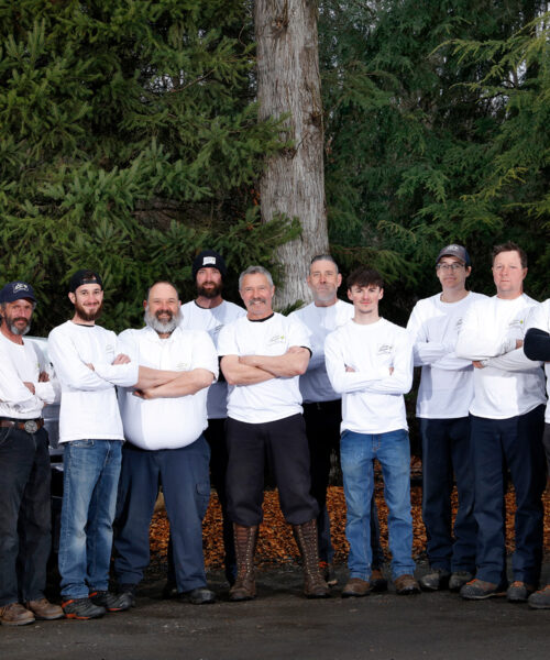 Arbor Services: Expert Tree Care Since 1988
