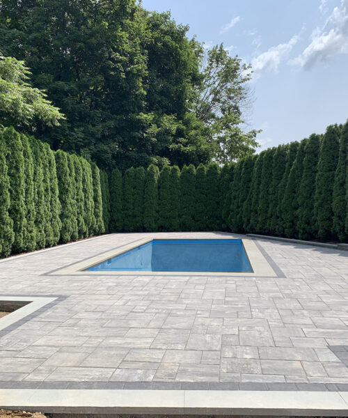 Peerless Tree: Trusted Tree & Landscape Experts