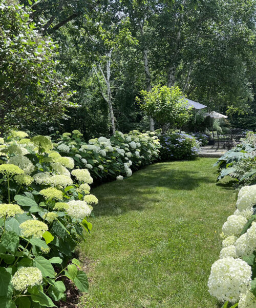 YardScapes: Expert Landscaping Design & Maintenance