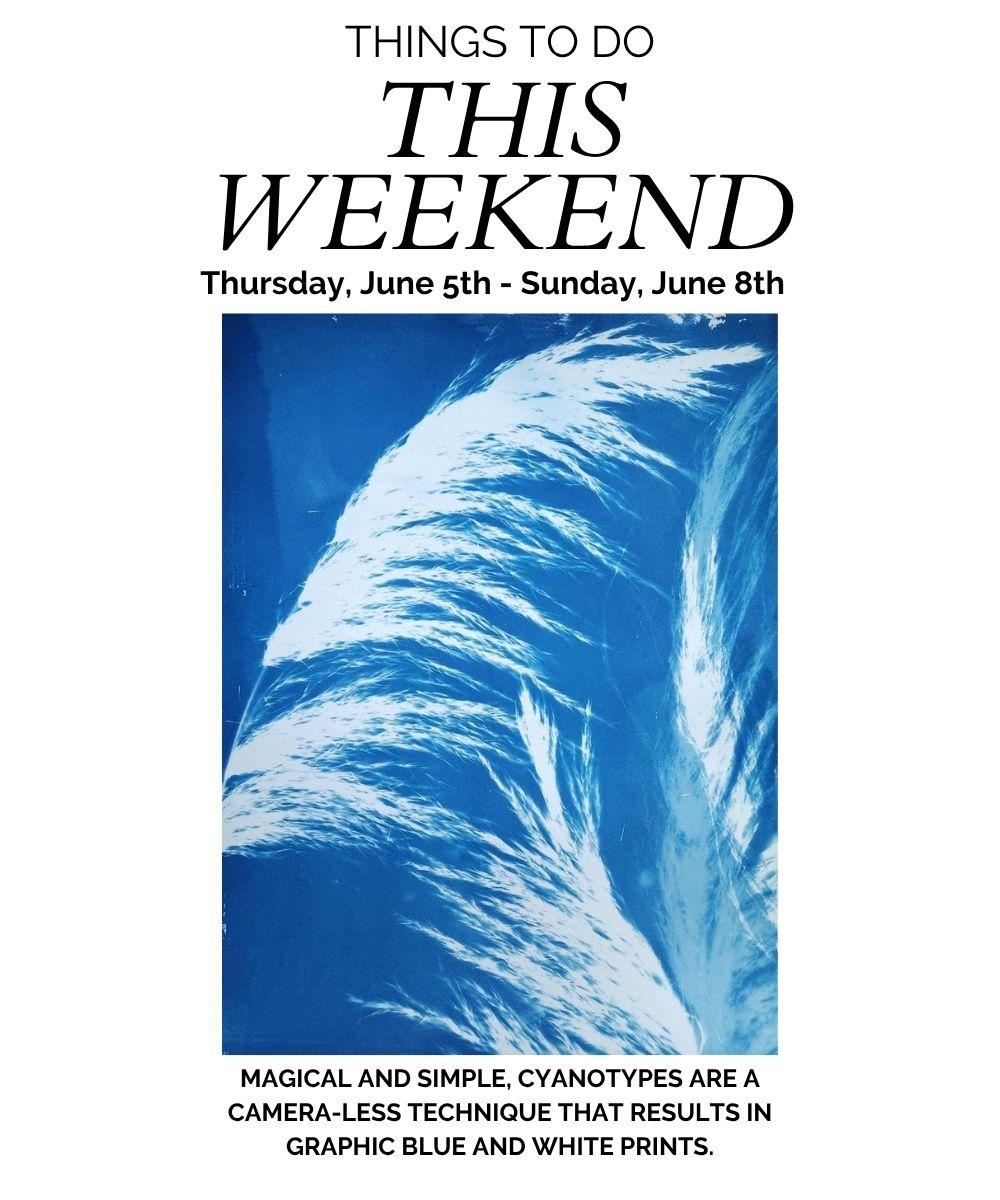 Things to Do This Weekend in Litchfield County: Events and More!