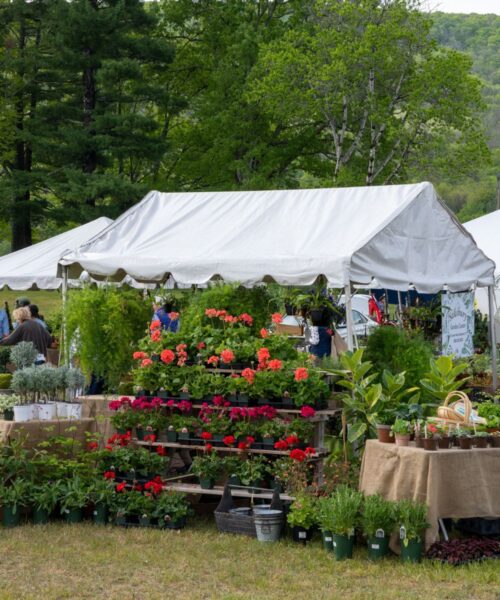 Martha Stewart to Visit Lime Rock for 25th Annual Trade Secrets